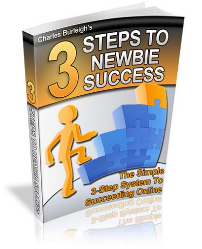 3 Steps To Newbie Success